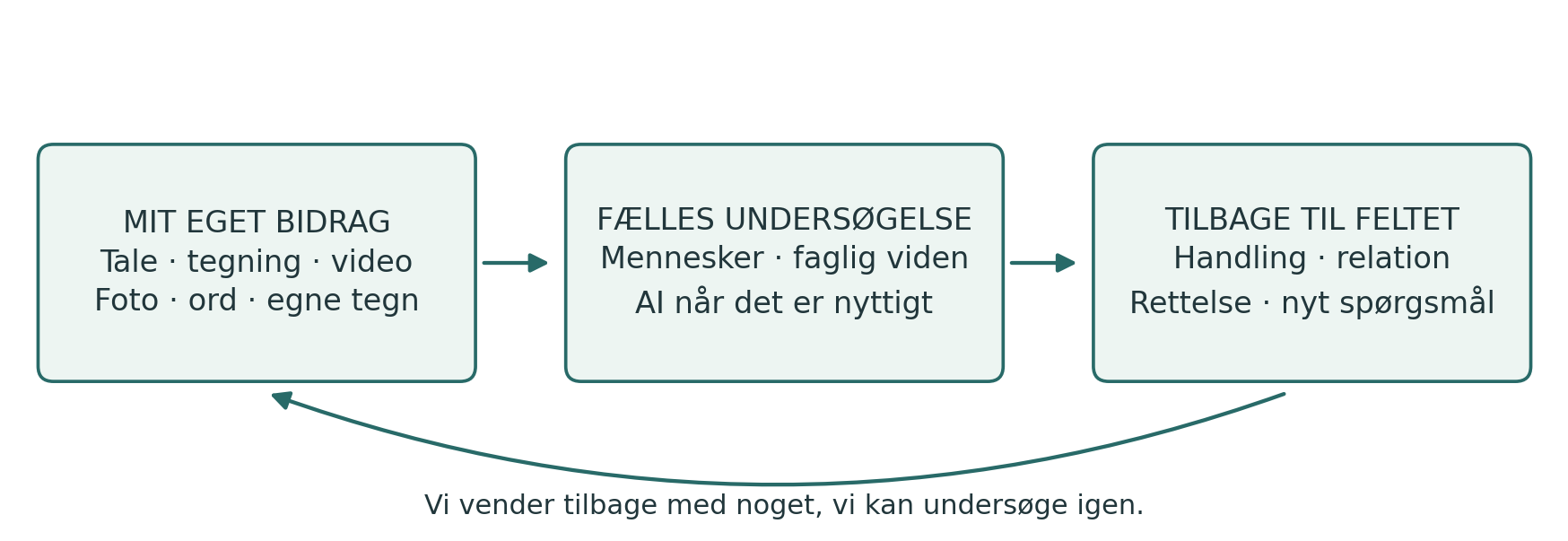 Egne erfaringer forbindes med et fælles spørgsmål, handling, vurdering og tilbagekomst.